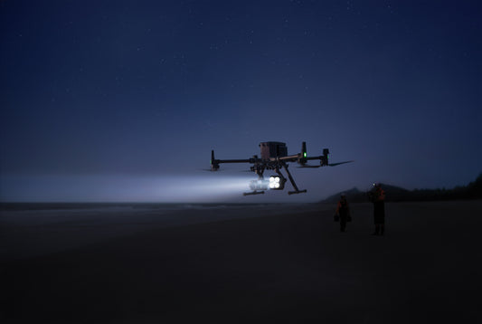 DJI Zenmuse S1 - Spotlight